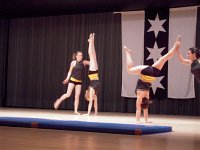 ivb_gv_2009-111