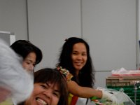 ivb_gv_2009-9